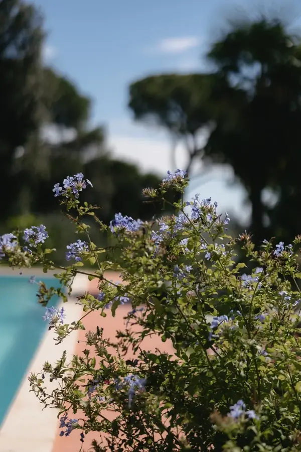 Hochzeitslocation mit Pool und bl&uuml;hendem Garten