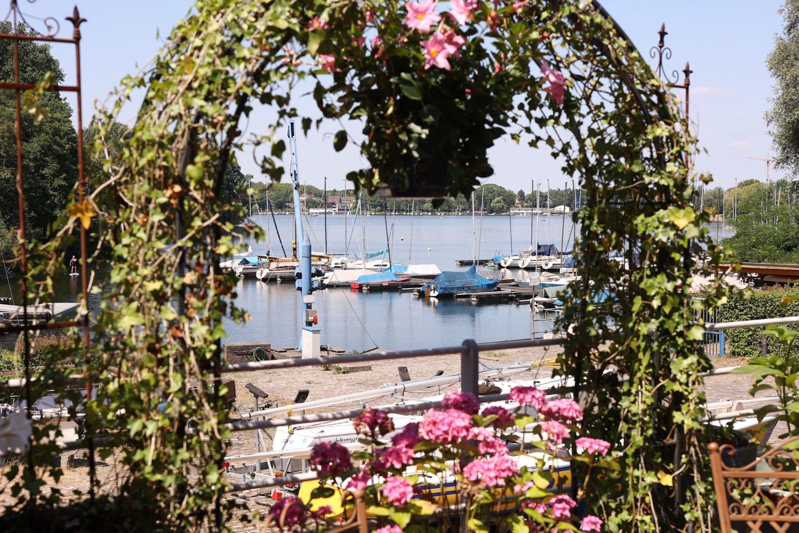 Blick durch den Rosenbogen des Haus Seeblick auf den Masurensee mit Segelbooten